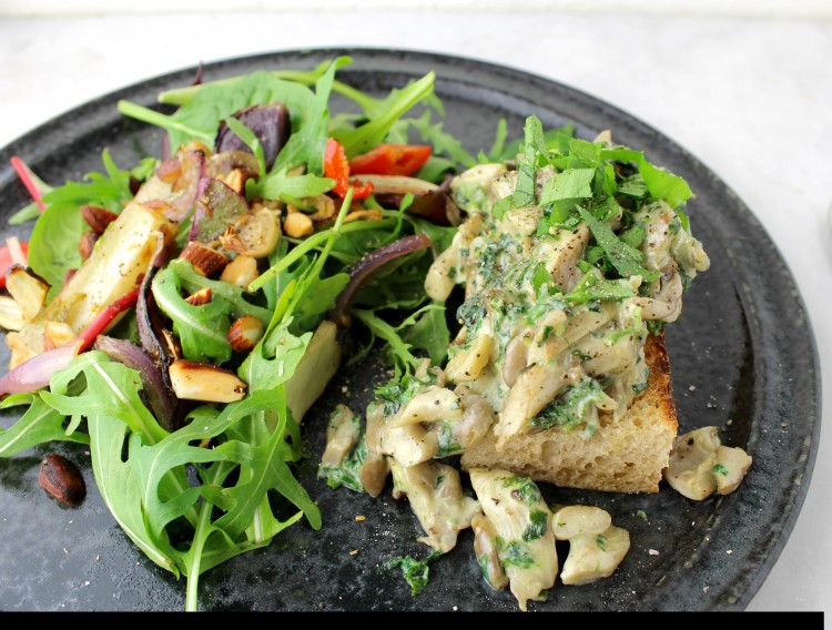 Flødestuvede østershatte m/brændenælde og ramsløg og grøn salat m/bagte grønsager - Mad med glød