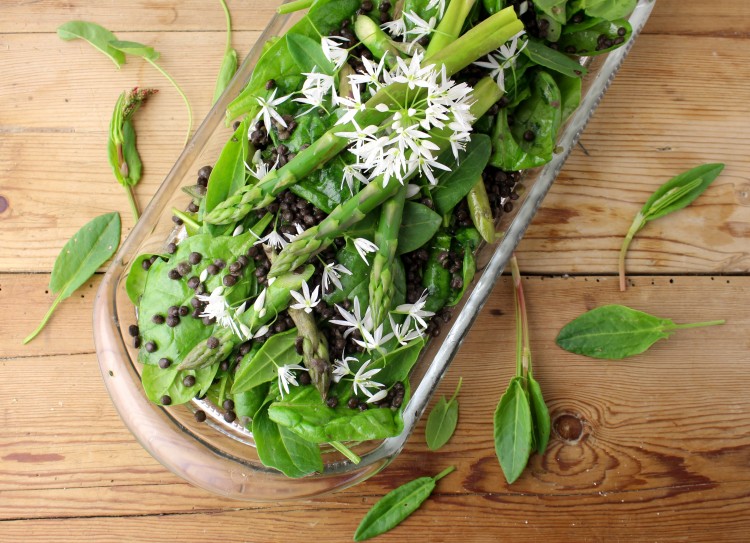 Forårssalat med vild syre, ramsløgblomster, asparges og Depuylinser - Vegansk opskrift - Mad med glød