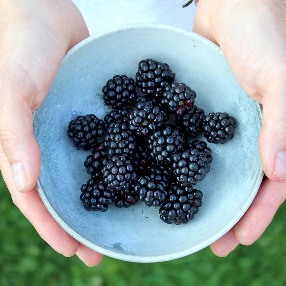 "Overnight oats" med brombær - Mad med glød